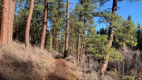 Proper Attire for Winter Hiking – Metolius River – Central Oregon