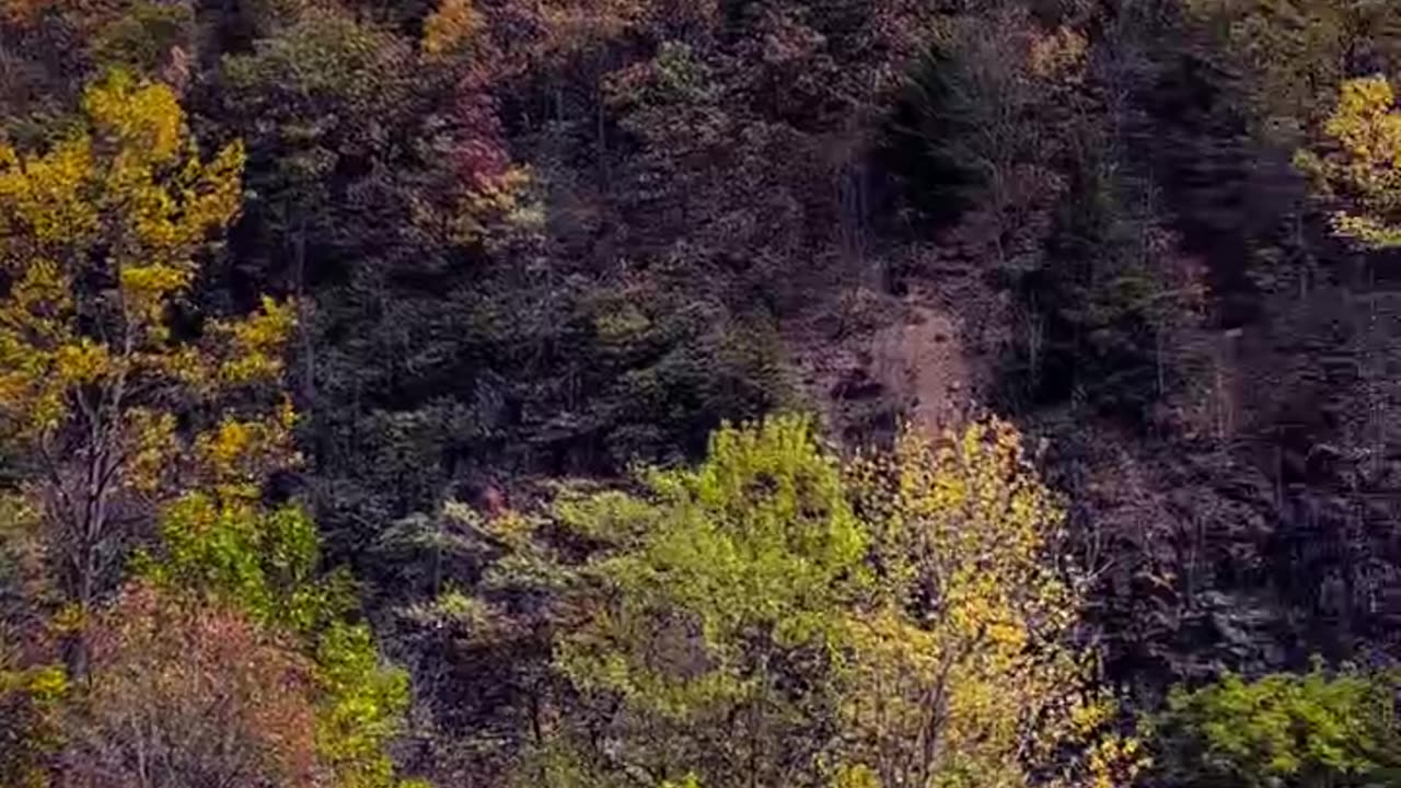 Longest fall foliage season in America is in Pennsylvania