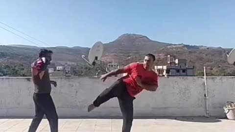 Karate Kicks