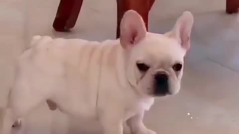 Omg That is so sweet 🥰🥰🥰🥰