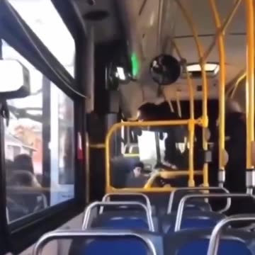 Sadiq Khan's Lawless London. animals on our streets