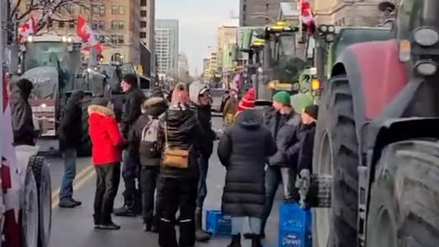 Trucker and Farmer Convoy arrives in Toronto (Feb. 4th, 2022)