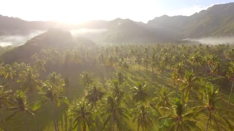 Flying Over Misty Valley in Indonesia