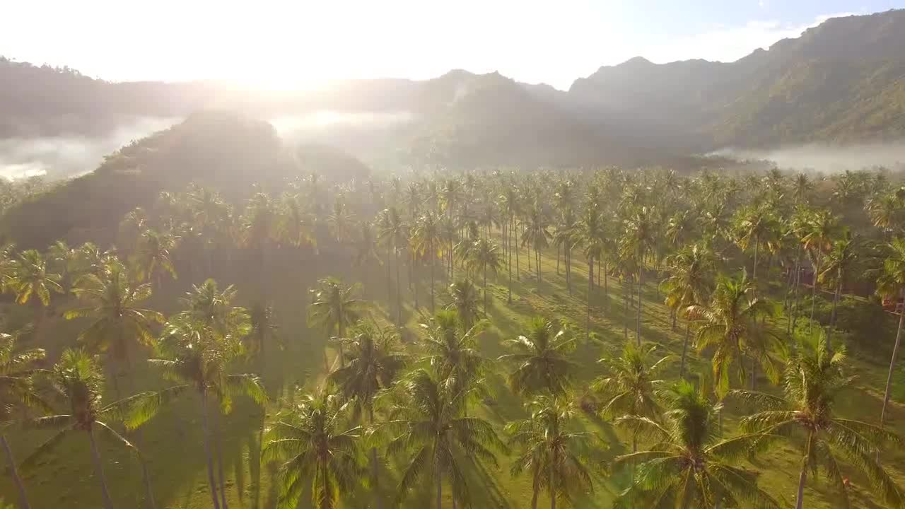 Flying Over Misty Valley in Indonesia
