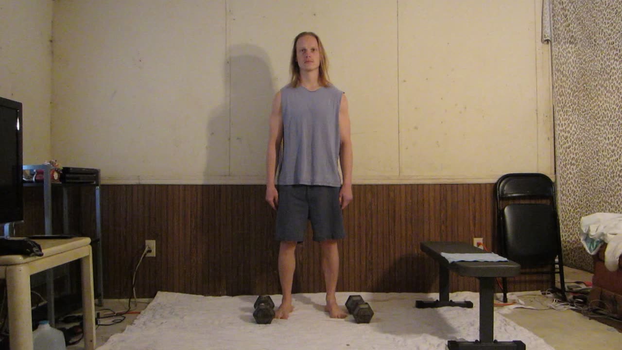 Dumbbell Shoulder Shrug Exercise For The 4 Workout