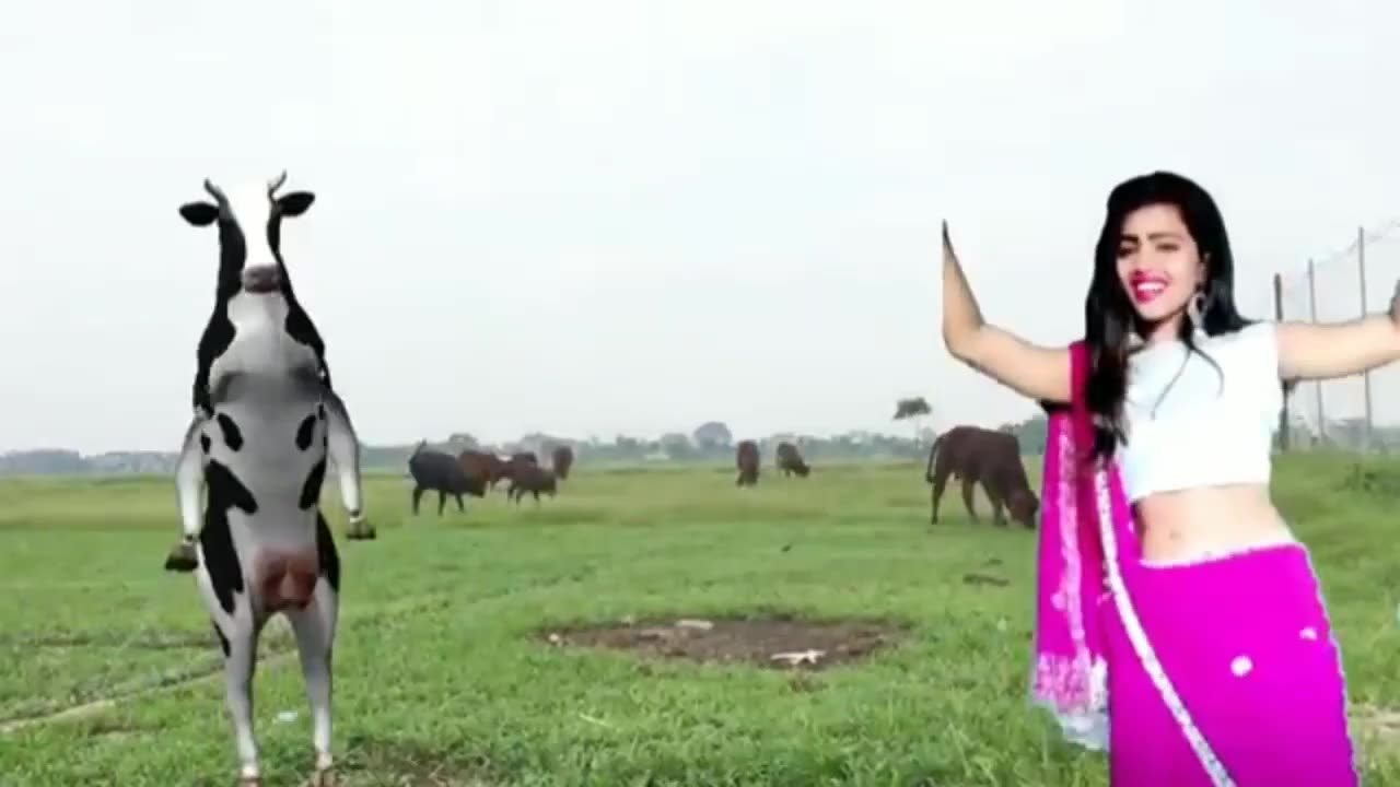 Fanny COW dance ððĪŠ |fanny dance ð Rabiul media.#shorts