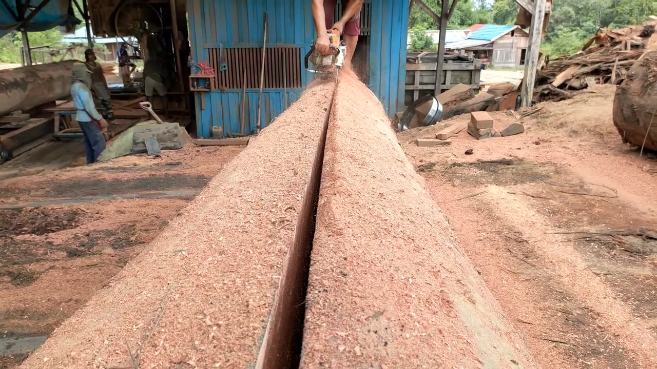 Form Of Dry Bengkirai Wood On A Saw With A Bandsaw