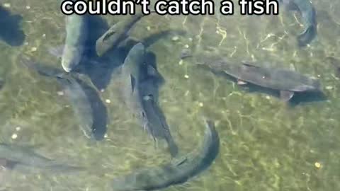 tag a friend that still couldn't catch a fish