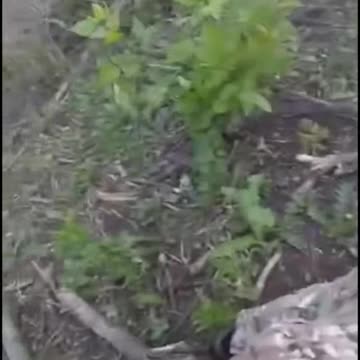 Intense Combat Music Video from Ukrainian Soldier