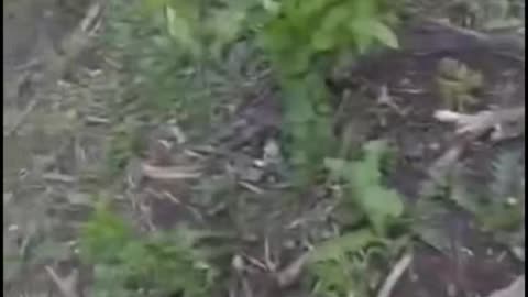 Intense Combat Music Video from Ukrainian Soldier