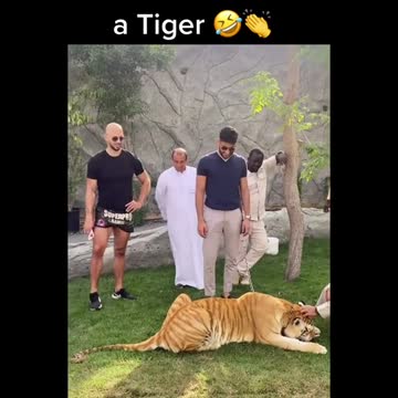 Andrew tate and Dubai