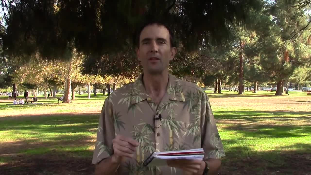 419. The Command to Rest