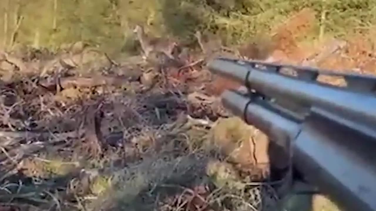 July 12, 2023unsuccessful ahota