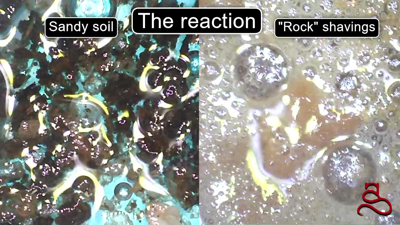 Reaction Comparison