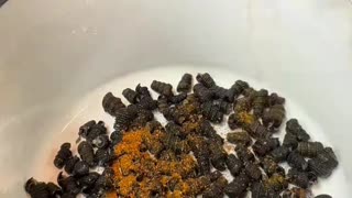Nigeria food