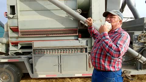 Harvest Over Better Clean Grain And Stow Equipment