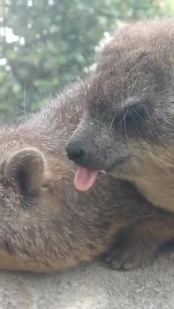 That’s disgusting 😂😂😂