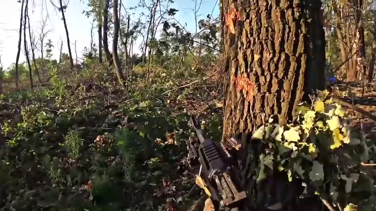 Chaotic Footage of a Ukrainian Assault on Russian Trenches