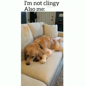 This could be us, but you playin’