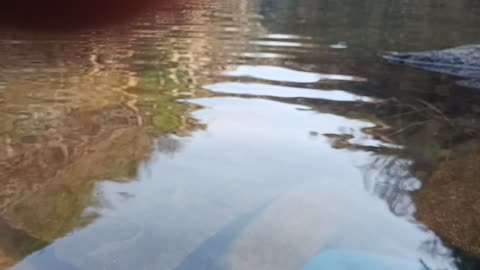 Beautiful Nature