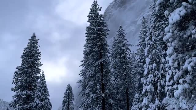 Always amazing nature