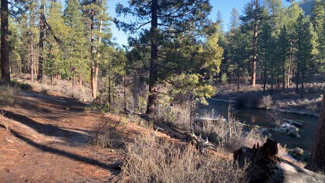 Deschutes National Forest & Metolius River National Recreation Area – Central Oregon