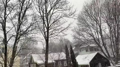 Lake Effect Snowstorm - 1/3/21