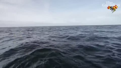 Nord Stream pipeline damage captured in underwater footage