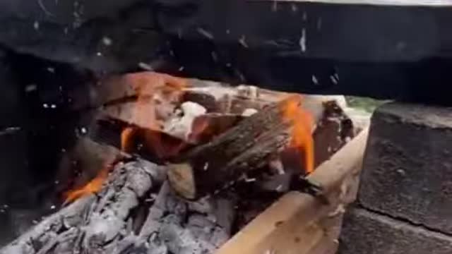 Asian Food Outdoor Cooking