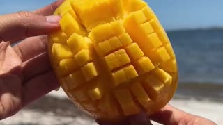 Mangos are still available but not for long!🌻