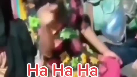 Hasi ka favvwara