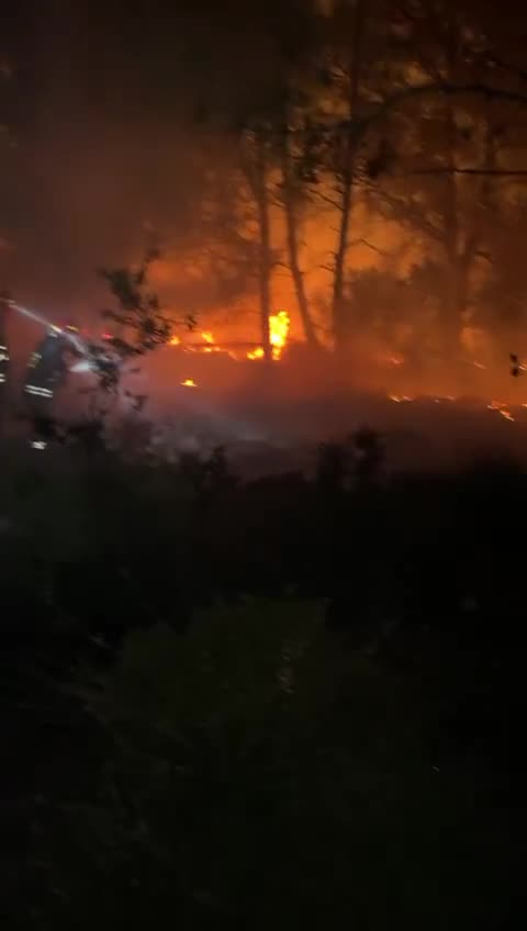 Pjerin Ndreu Shengjin