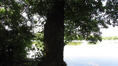 Calming Sounds of Lake Water