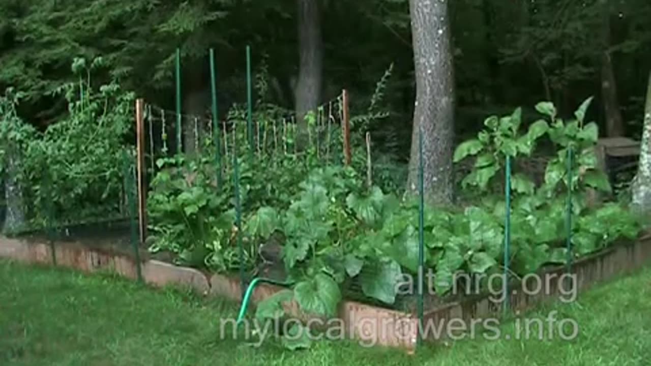 #235 - 20100722 - Freedom Garden Update 7_22