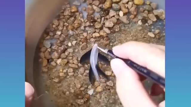 Oddly Satisfying Video || Best oddly satisfying and relaxing video for stress relief