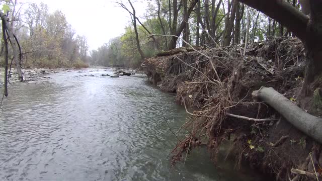 BEST OF FALL- Fishing Great Lake Tributaries for Steelhead and Salmon