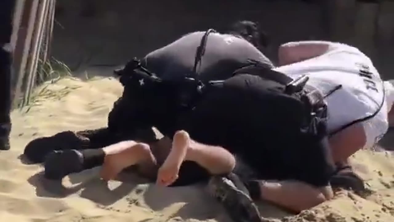 Taken Down For Not Having Surfing License