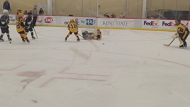 P and Z doing their thing