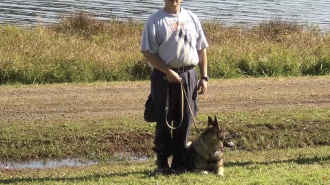 Connecticut State Police K-9 unit 151st Patrol Dog Class