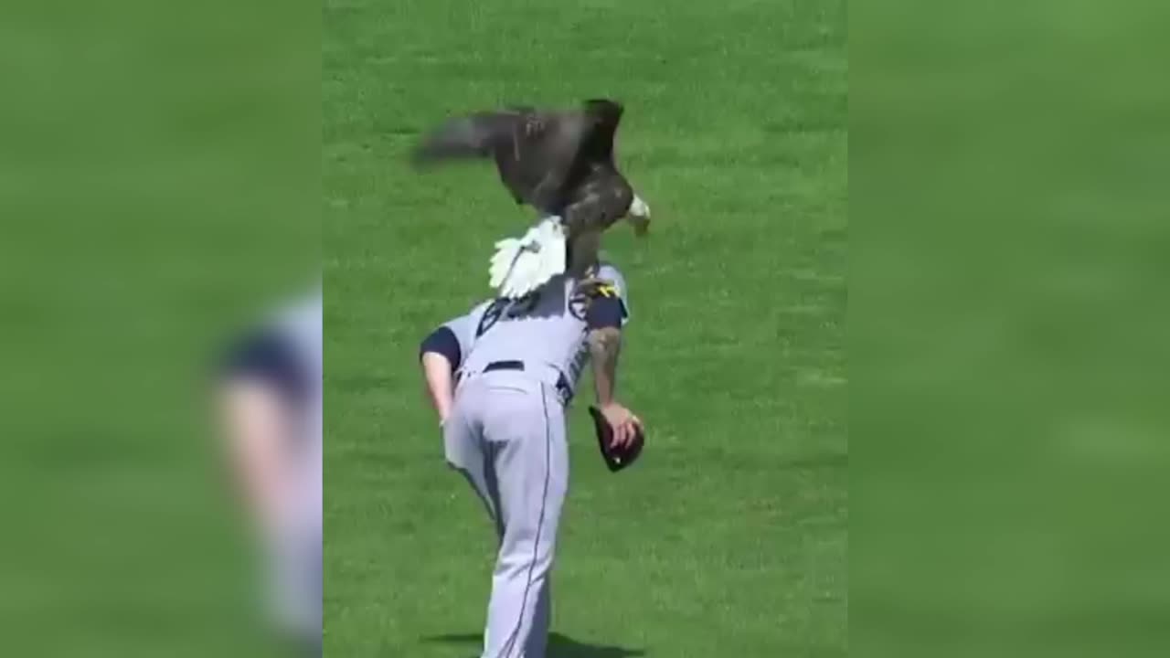 James Paxton has eagle on him