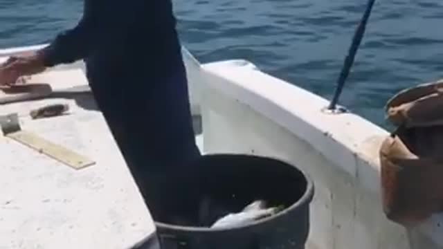The most fortunate fisherman in the world.