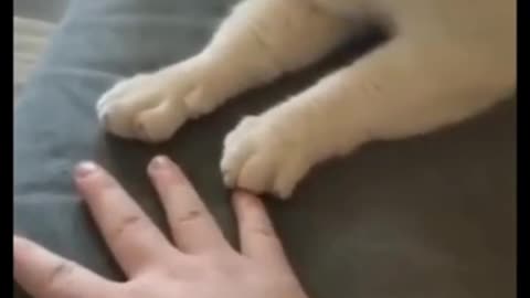 Open your hand😸