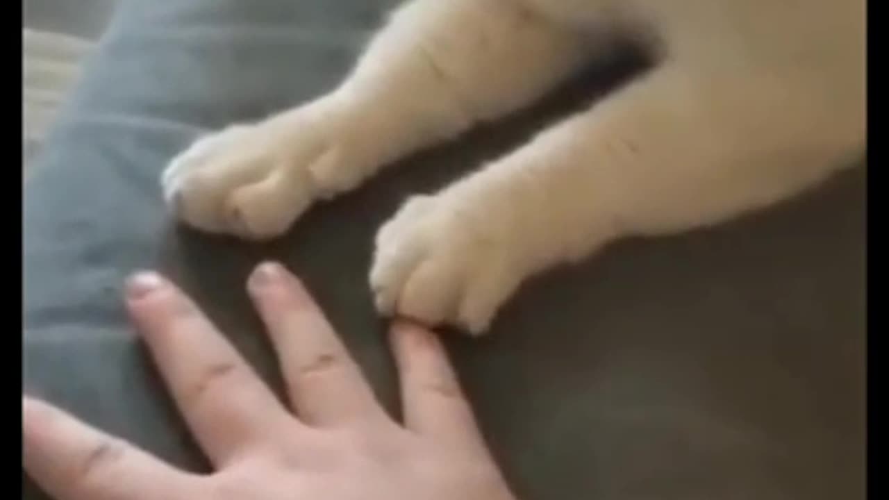 Open your hand😸