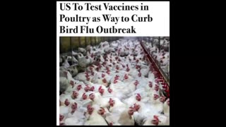 BIRD FLU VACCINE MRNA