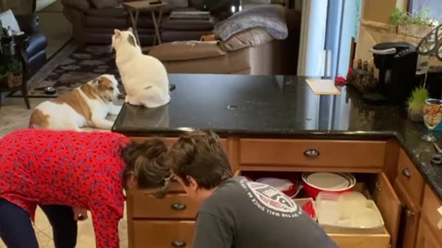 mouseprankonmom!!#prank#fyp#funny