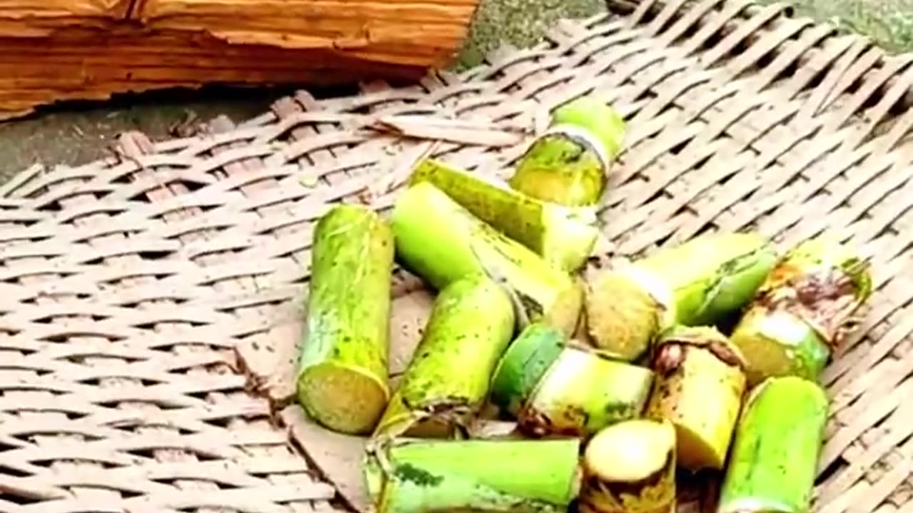 Sugarcane | Argriculture | Agritools