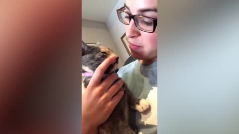 Try Not To Laugh Challenge