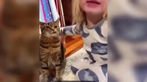 OMG" Funny Cats Compilation try not to Iaugh impossible Memes 2024