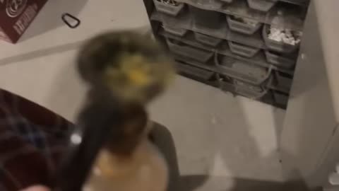 Day 35 pt3 Rucka last bowl