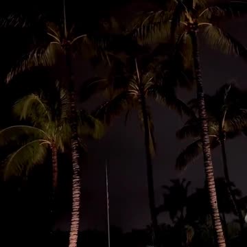 Last Night In Mar-A-Lago - Scavino Post